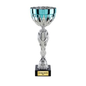 COUPE CLASSIC ARGENT COULEUR 32 cm